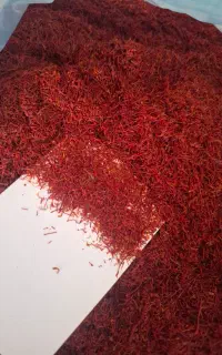 زعفران شکسته سرگل