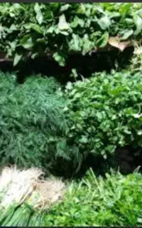 سبزی خورشتی پاک کرده
