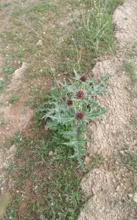 کارگر ساده ماهیانه 36میلیون