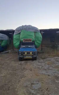 کاه گندم