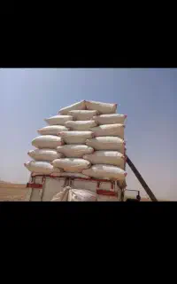 کاه کاهکوب کردستان