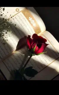 فال تضمینی