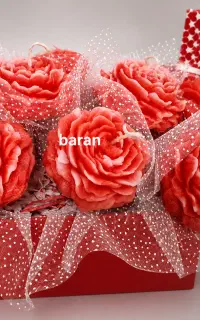 گل باشمع