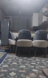 خانم جهت نظافت منزل هفته دوبار