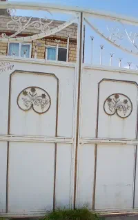 در حیاط