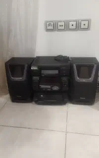 ضبط دو باند پاناسونیک