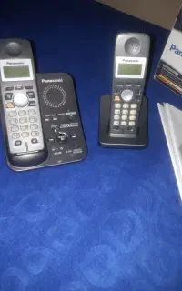 پاناسونیک