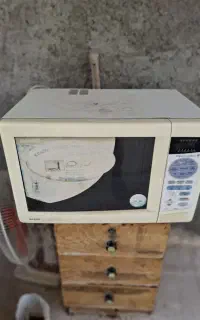 مکرووی سانیواصل ژاپن روشن