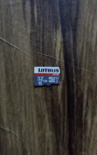 LoToUS 32g