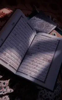 سرکتاب رایگان