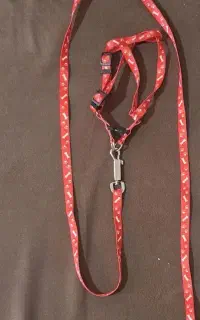 قلاده گربه