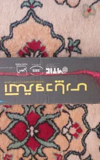 الکترودپارس