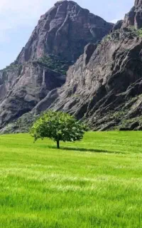 طبیعت گردی،کوهنوردی،ارامش