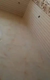 کاشی کاری  باشرایط