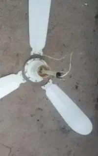 پنکه سقفی