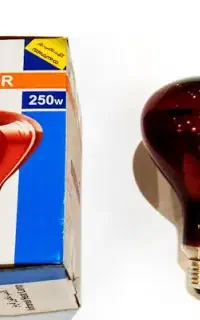 لامپ مادون قرمز ۲۵۰وات