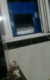 کولرآبی ۳۲۰۰