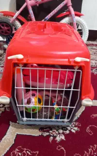 خونه گربه