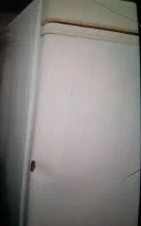 فریزر پارس
