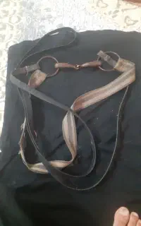 دهنه اب خوری اسب در حد نو تمیز
