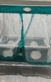 گهواره تاشونو