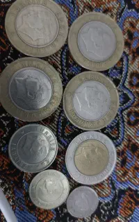 پول ترکیه