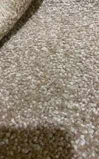 پالاز موکت