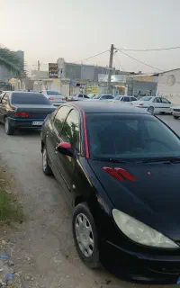 206 مدل 1387 شاسی پلمپ