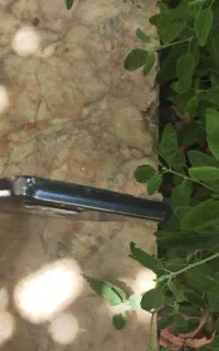 a53