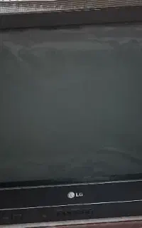 تلوزیون