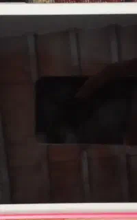 تبلت