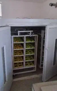 فروش دستگاه جوجه کشی شترمرغ