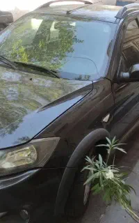 کوییک ۹۹