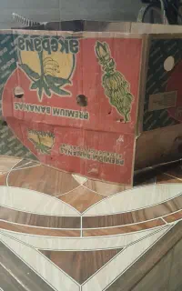 انواع ضایعات