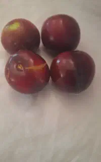آلو سیاه