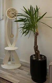 ساعت ایستاده و گلدان مشکی