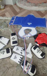 گارد تکواندو