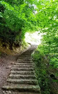 تور شمال 4روزه