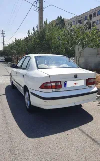 سمند سفید