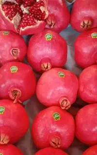 باغ اناری جهت اجاره دارم کوهمره جزی یا کلی