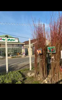 هرس سمپاشی فضاسازی فروش نهال و گل و گیاه