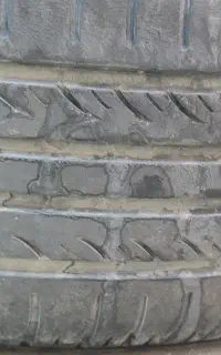 لاستیک ساینا