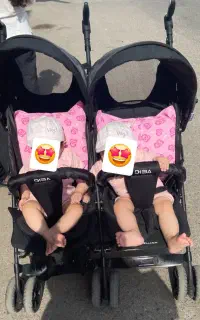 کالسکه دلیجان مدل دیبا