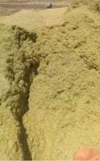 کاه عدس