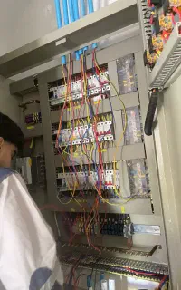 برقکاری دلوار گورکات عالیشهر