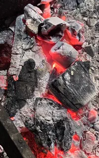 ذغال سنتی قلم