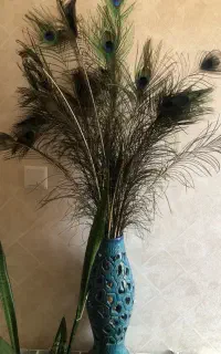 گلدان و پر طاووس