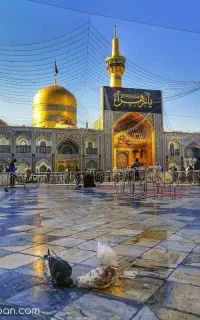 تور قشم 4 شب اقامت فقط صبحانه با ترانسفر