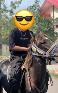 نریان 4سال