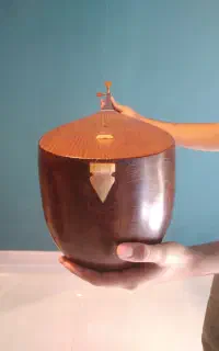 دوتار زیبا و خوش صدا